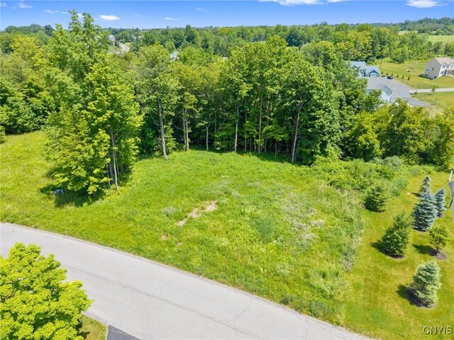 7101 Kittiwake Run, Manlius, NY 13104
