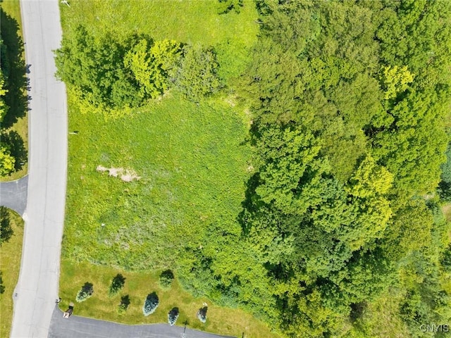 7101 Kittiwake Run, Manlius, NY 13104