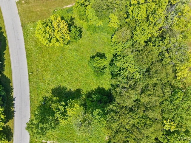 7101 Kittiwake Run, Manlius, NY 13104