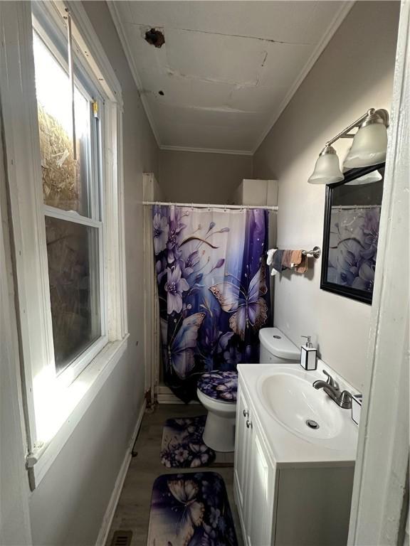 bathroom featuring ornamental molding, hardwood / wood-style floors, toilet, vanity, and a shower with shower curtain