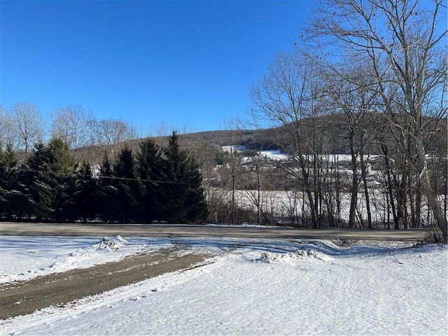 view of snowy yard