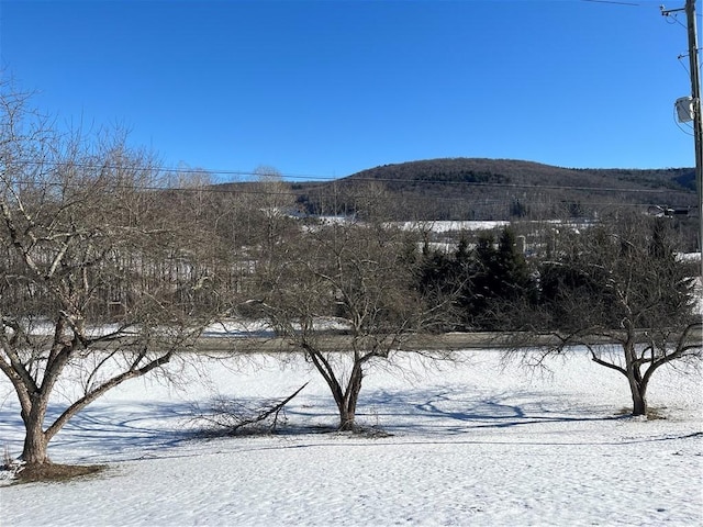 view of mountain feature