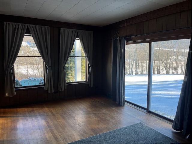 empty room featuring wooden walls and hardwood / wood-style flooring