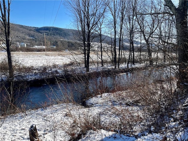 property view of water featuring a mountain view