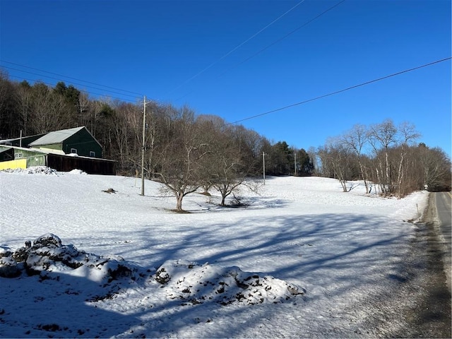 view of snowy yard