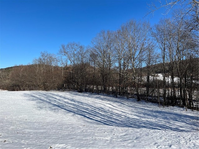 view of snowy yard