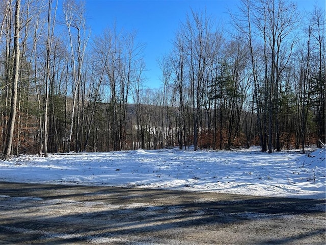 view of yard covered in snow