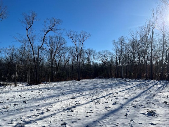 view of snowy yard