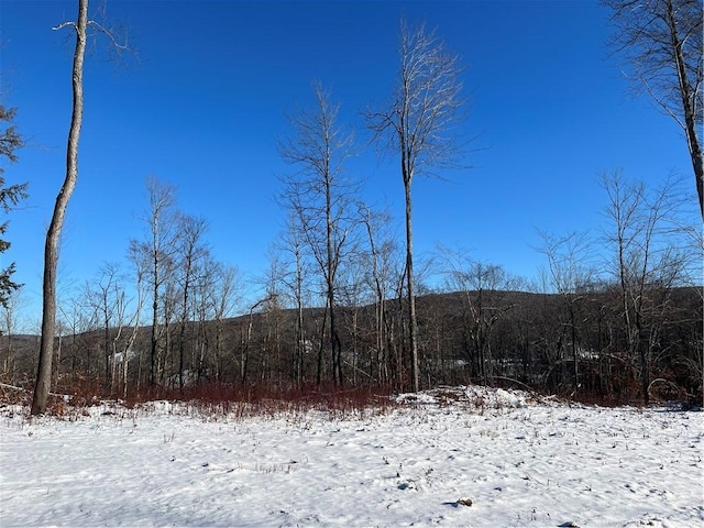 view of snow covered land