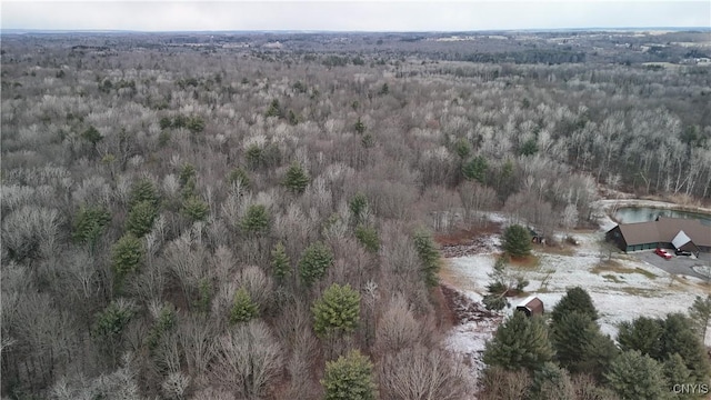 0LOTC W Dryden Rd, Dryden, NY 13068 - photo 1