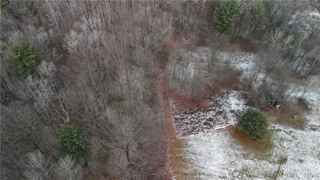 0LOTC W Dryden Rd, Dryden, NY 13068 - photo 2
