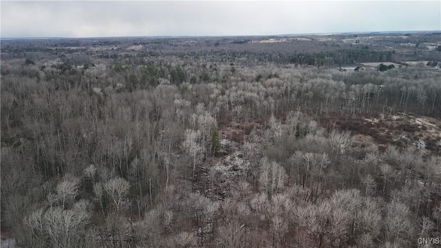 0LOTC W Dryden Rd, Dryden, NY 13068 - photo 3