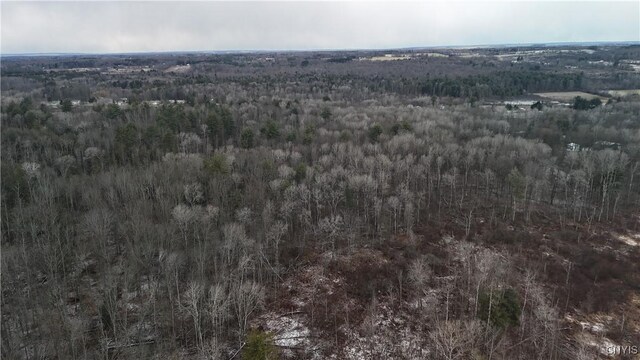 0LOTC W Dryden Rd, Dryden, NY 13068 - photo 4