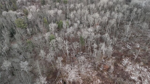0LOTC W Dryden Rd, Dryden, NY 13068 - photo 5