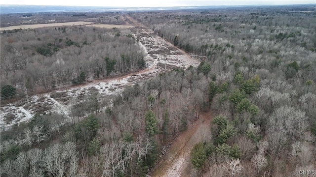 0LOTC W Dryden Rd, Dryden, NY 13068 - photo 6