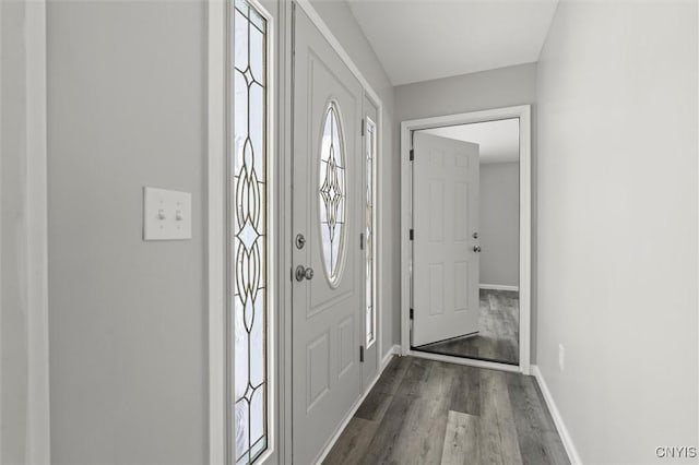 foyer entrance with hardwood / wood-style flooring