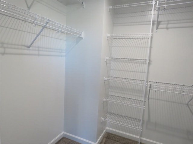 spacious closet featuring carpet floors