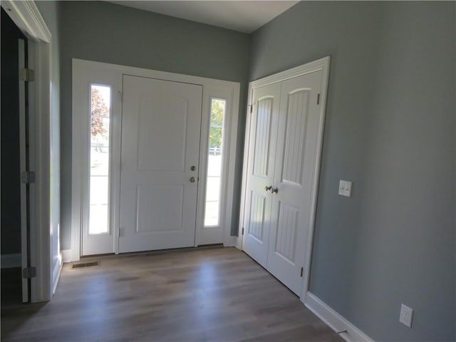 entrance foyer with hardwood / wood-style floors and a healthy amount of sunlight