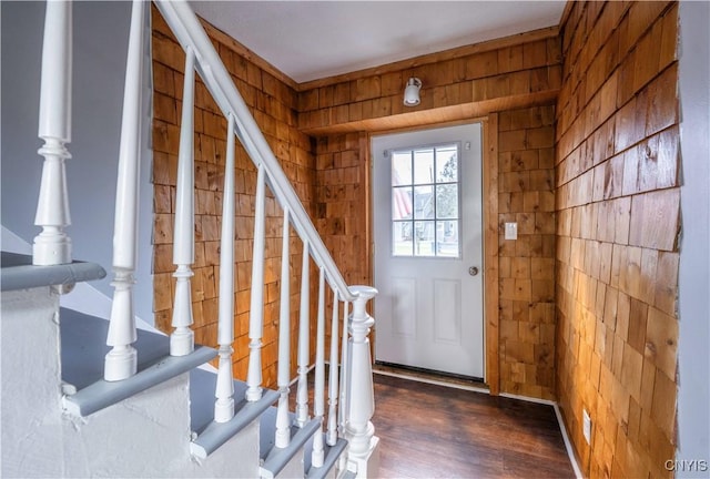 foyer with wood walls and dark wood-type flooring