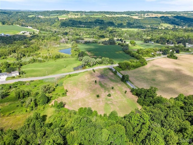 00 Bear Path, Stockbridge NY, 13409 land for sale