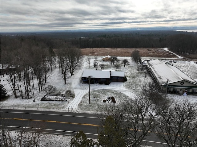 view of snowy aerial view