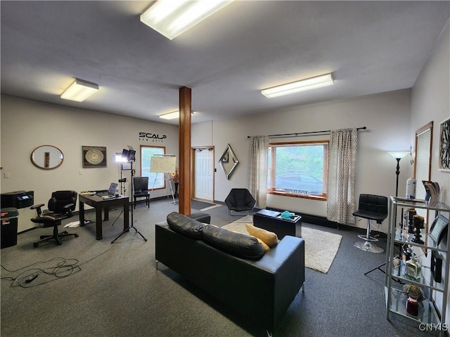 living room featuring carpet floors