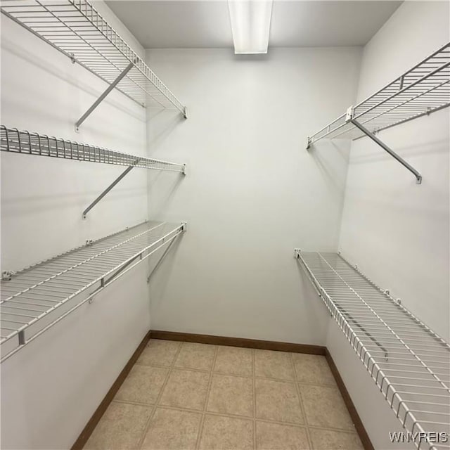 view of spacious closet