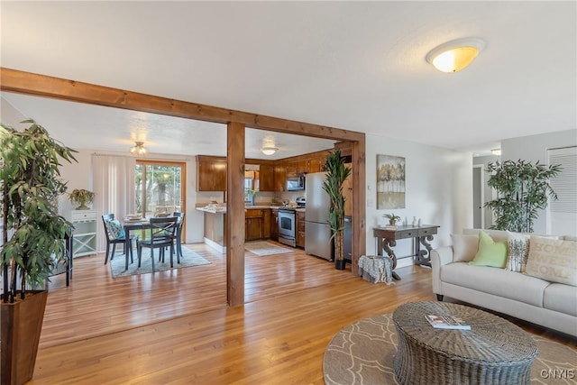 living room featuring light hardwood / wood-style flooring