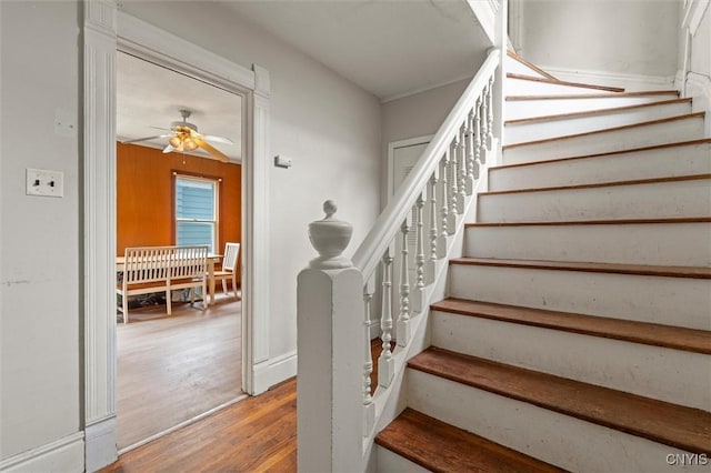 staircase featuring hardwood / wood-style flooring and ceiling fan