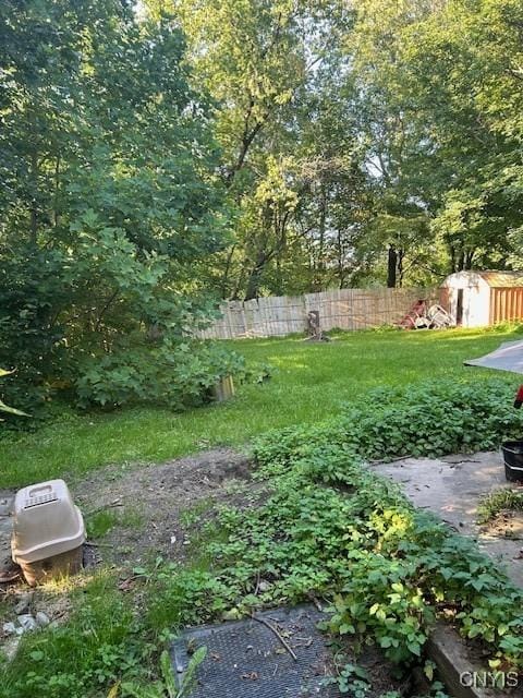 view of yard with a shed