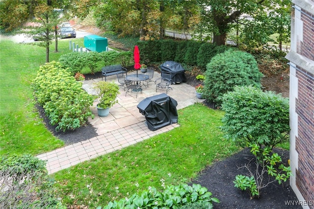 view of yard featuring a patio