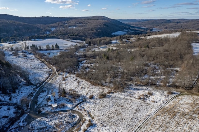 view of mountain feature