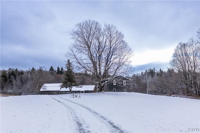 view of yard covered in snow