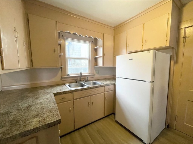 kitchen featuring white refrigerator, light hardwood / wood-style floors, and sink