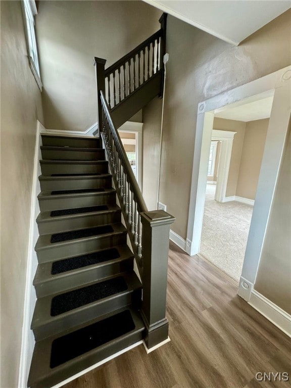 staircase with hardwood / wood-style floors