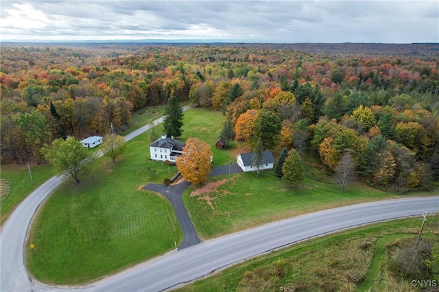 bird's eye view