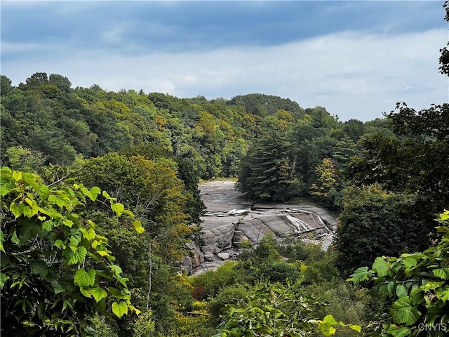 view of landscape