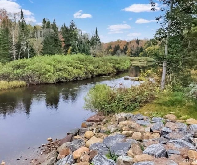 property view of water