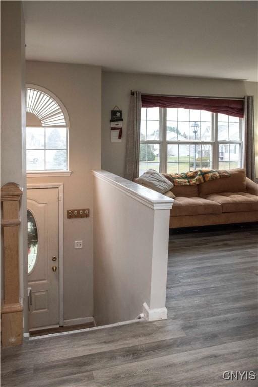 entrance foyer featuring dark hardwood / wood-style floors