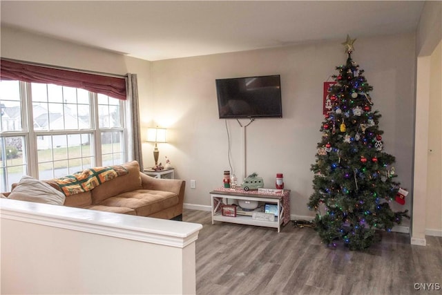 living room with hardwood / wood-style flooring