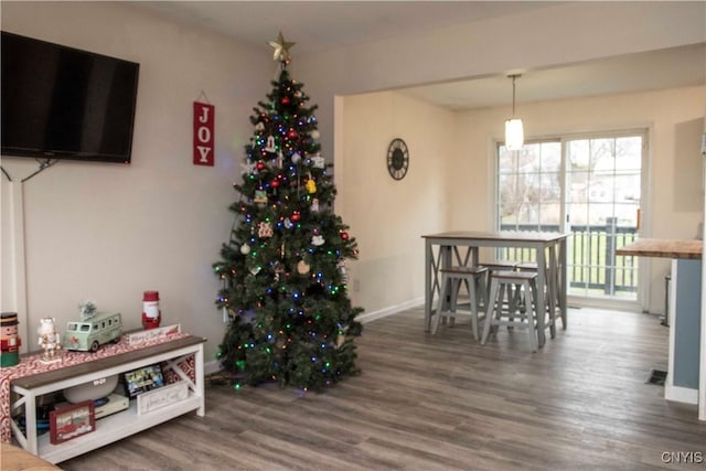 dining area with dark hardwood / wood-style floors