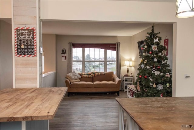 living room featuring dark hardwood / wood-style floors