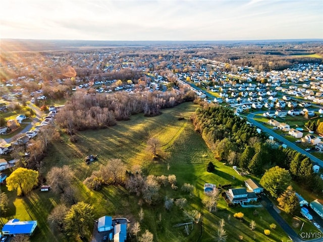 bird's eye view