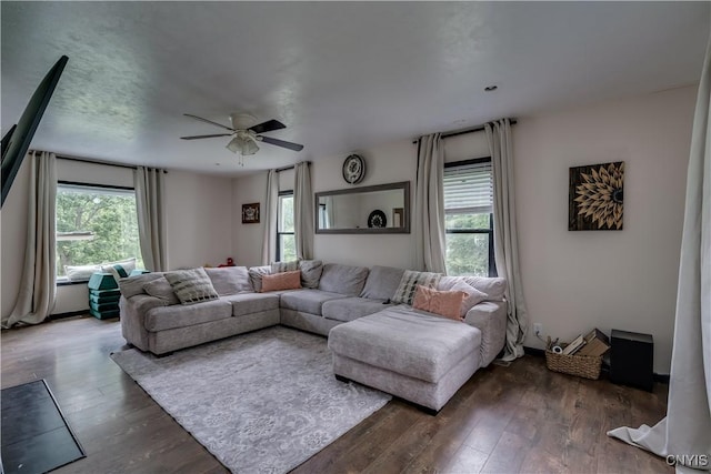 living room with ceiling fan, plenty of natural light, and dark wood-type flooring