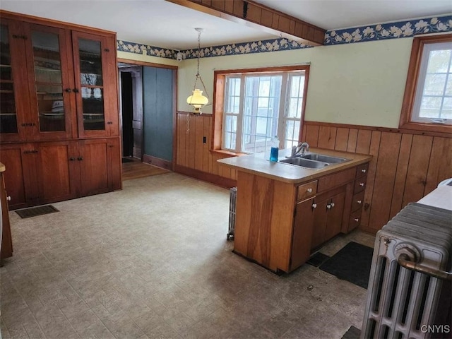 kitchen featuring pendant lighting, wood walls, a healthy amount of sunlight, and sink