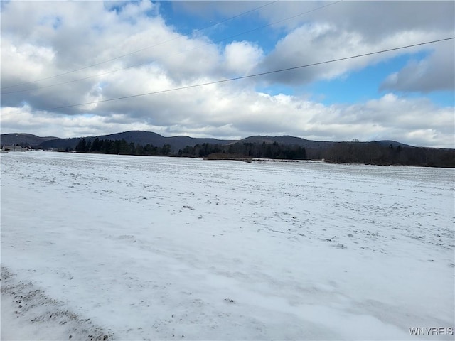 Listing photo 3 for Martin Rd, Great Valley NY 14741