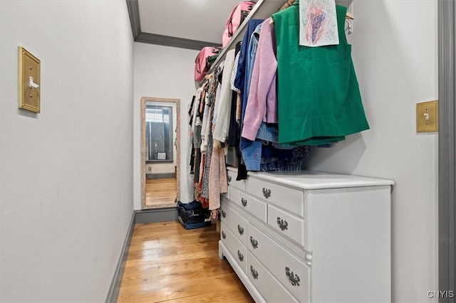 walk in closet featuring light hardwood / wood-style flooring