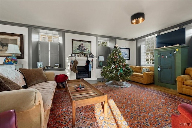 living room featuring crown molding and hardwood / wood-style flooring