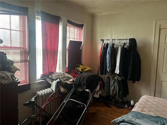 miscellaneous room featuring hardwood / wood-style floors, crown molding, and a wealth of natural light