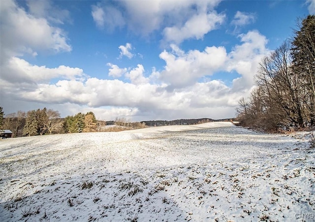 view of yard covered in snow